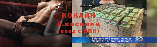 соль ск Абаза
