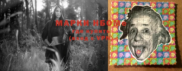 хмурый Арсеньев
