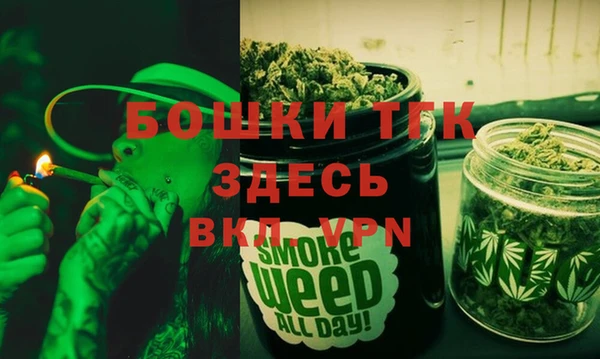 соль ск Абаза